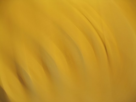 Smooth elegant golden silk can use as background の写真素材