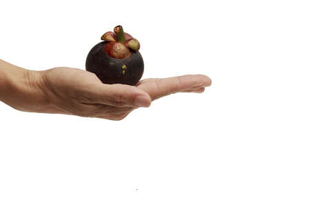  mangosteen on hand white backgroundの写真素材