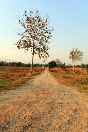 Entrance road is a wild sandの写真素材
