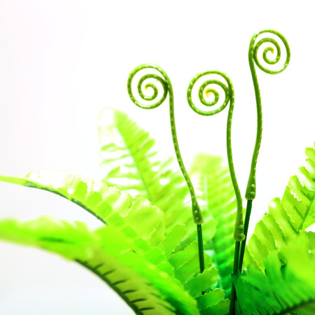 Ferns green are made of plastic isolated white backgroundの写真素材