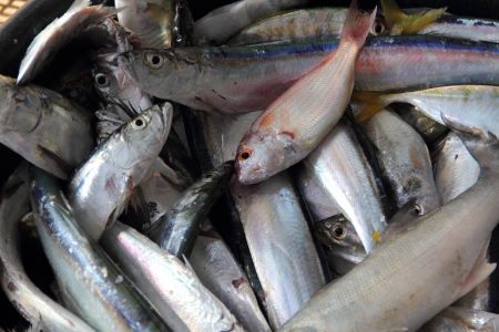 making of salt fish 