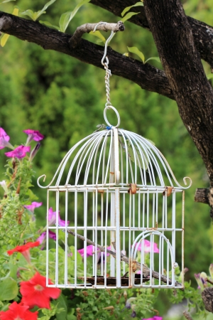 Bird cage House of Bird  の写真素材