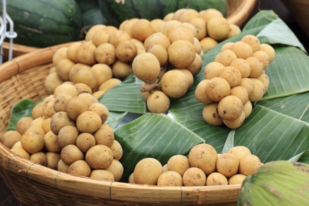 Closed up loangong in the rattan basketの写真素材