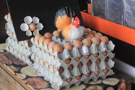 eggs in the package with chicken doll   Carton paper tray  の写真素材