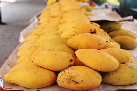 yellow mango on the market of Thailandの写真素材