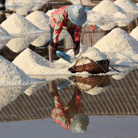 The Farmer working in the salt field