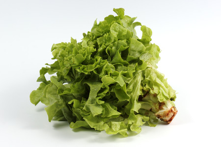 Fresh the lettuce isolated on white backgroundの写真素材