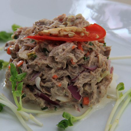 The Tuna salad  Spicy food Thai styleの写真素材