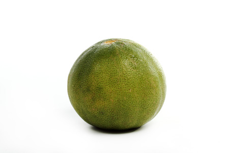 A fresh lime isolated on a white backgroundの写真素材
