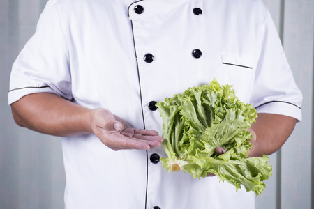 Chef holds lettuce for prepared making saladの写真素材