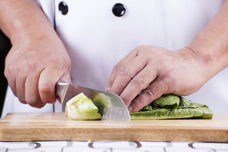 Chef cutting green lettuce on wooden broadの写真素材