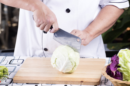 Chef cutting green cabbage on wooden broadの写真素材