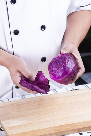 Chef split leaf of purple cabbage before cookingの写真素材