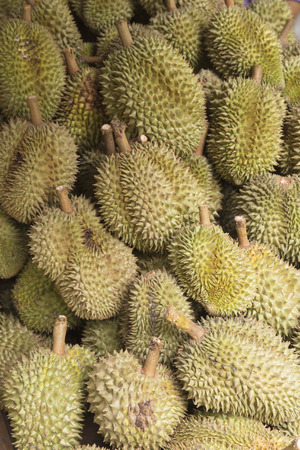 Group of durian in the Thailand marketの写真素材