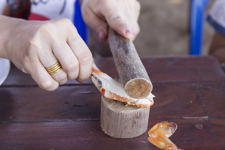 Hand knocked claw of crab with woodの写真素材