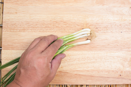 green onions bunch with hand / cooking spicy spaghetti concepyの写真素材