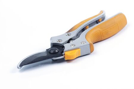 Orange  branch scissor on the white background
