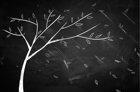 Simple tree sketch decoration backdropの写真素材