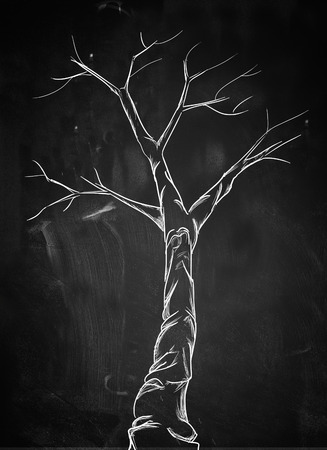 Scary branch tree on blackboardの写真素材