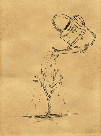 Watering Plant sketch on Paperの写真素材
