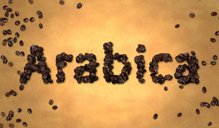 Arabica Coffee Bean on Old Paperの写真素材