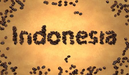 Indonesia Coffee Bean on Old Paperの写真素材