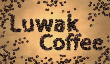 Luwak Coffee Coffee Bean on Old Paperの写真素材