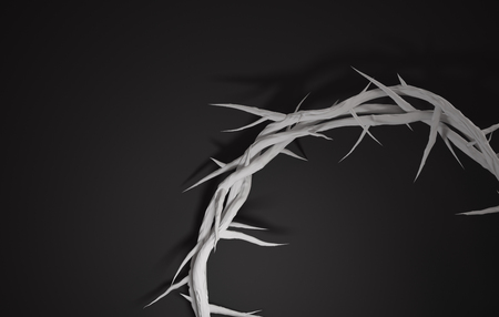 Close up Crown of Thorns 3D Rendering Empty Space Dark Backgroundの写真素材