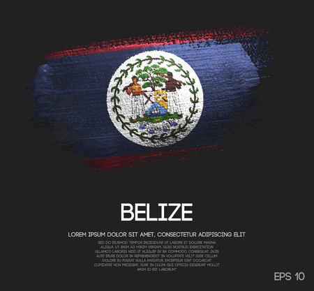 Belize Flag Made of Glitter Sparkle Brush Paint Vectorのイラスト素材
