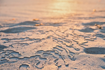 ebb an flowの写真素材