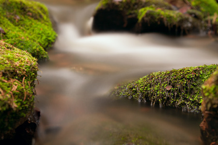 little riverの写真素材