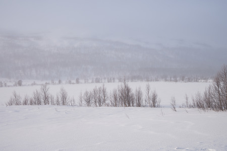 fog over a frozen lake in swedenの写真素材