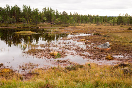 clear lake in finlandの写真素材
