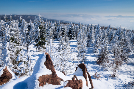beautifull winter landscapeの写真素材