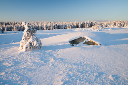 morning light over a beautifu winer landscape
