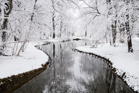 winter landscape with a lake in a park in Dresden