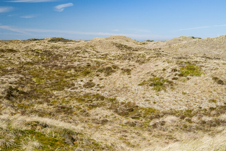 dune landscape in denmarkの写真素材