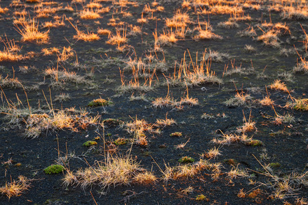 wild highland landscape in iceland at eveningの写真素材