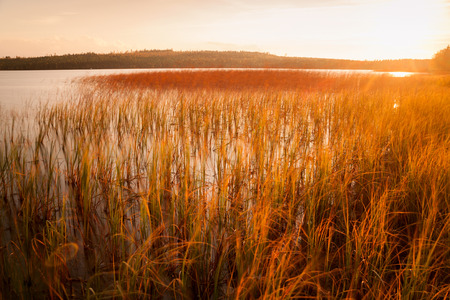 evening mood in finlandの写真素材
