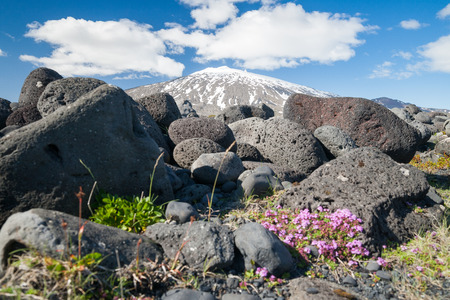 landscape on snaefellsnes peninsula with snaefellsjokull in backgroundの写真素材
