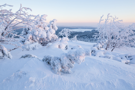 Sunrise over a snowy winter landscape in Germanyの写真素材