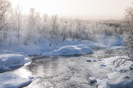 beautiful sunny winter day in swedenの写真素材