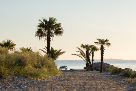 Palm beach Frederikshavn, Denmarkの写真素材