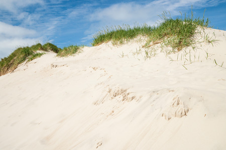 dune landscape in denmarkの写真素材