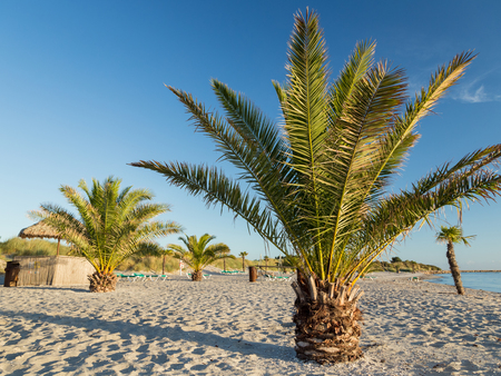 Palm beach Frederikshavn, Denmarkの写真素材