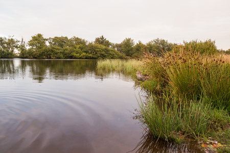 Evening at a lake in Septemberの写真素材