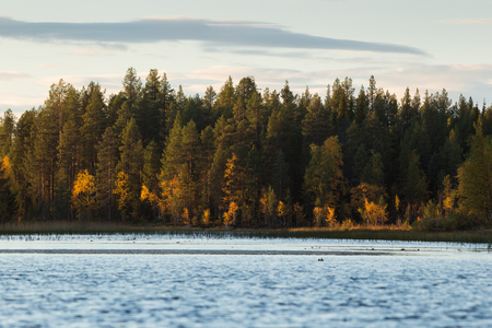 Autumnal lake scenery in Sweden during sunsetの写真素材