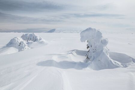 Peak of the Snezka mountain in winter (Krkonose)の写真素材