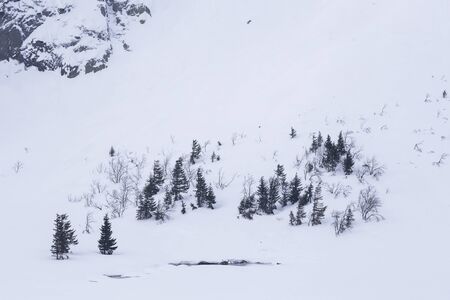 Landscape of the Giant mountains (Krkonose) in winterの写真素材