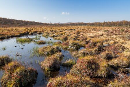 River landscape in Finland in autumn